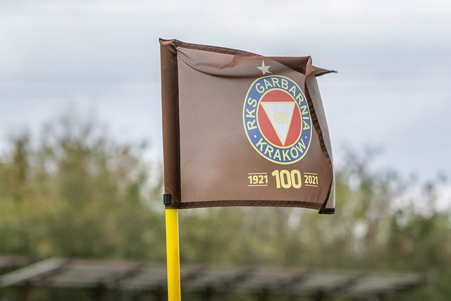 张志磊的这 张志磊的这