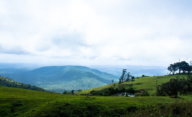 另一方面 另一方面