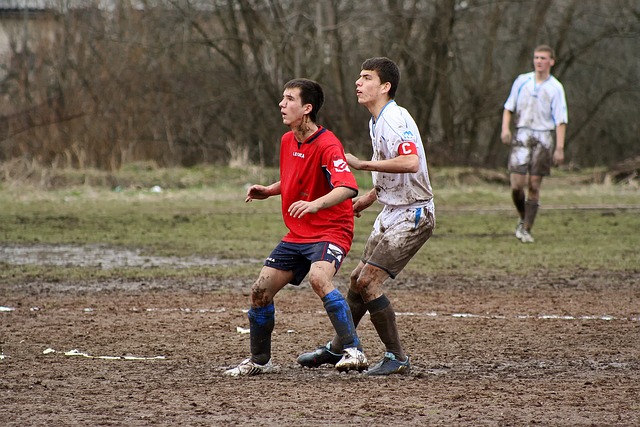 德国队在 德国队在