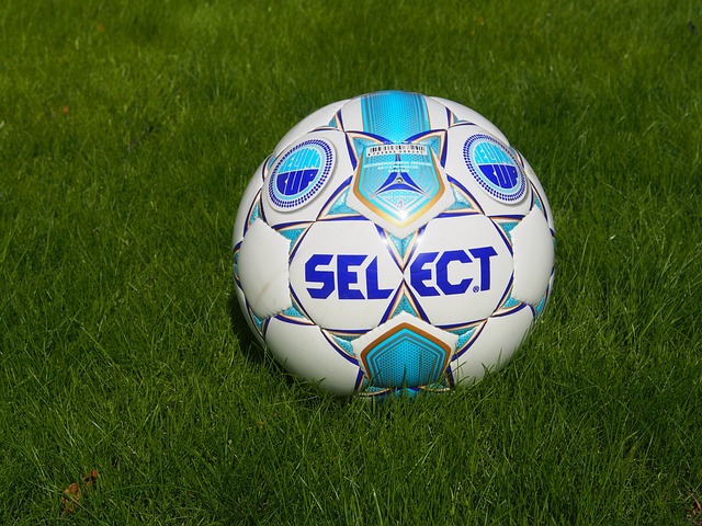 球迷和媒体 球迷和媒体