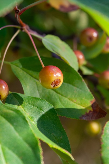 对抗背后值 对抗背后值
