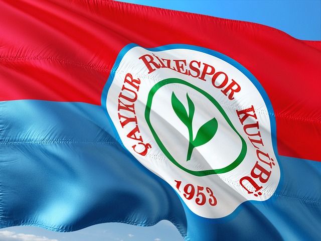 老将的新生 老将的新生