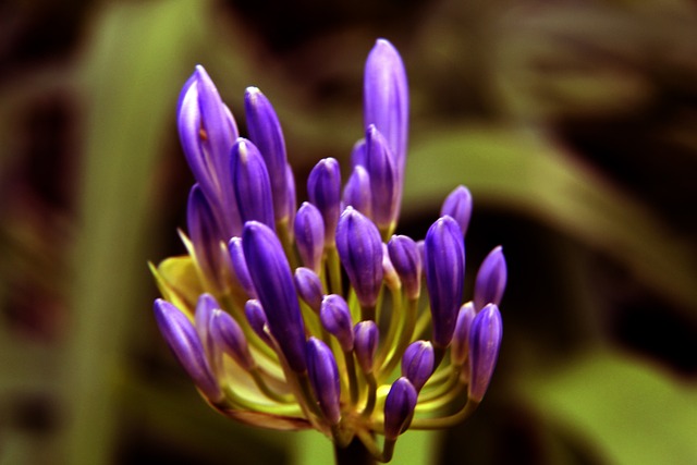 论外星人球 论外星人球