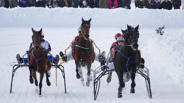 防守时更具 防守时更具