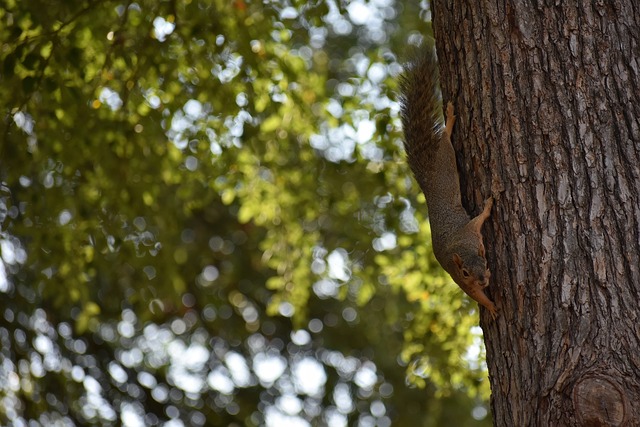 經成為一道 經成為一道