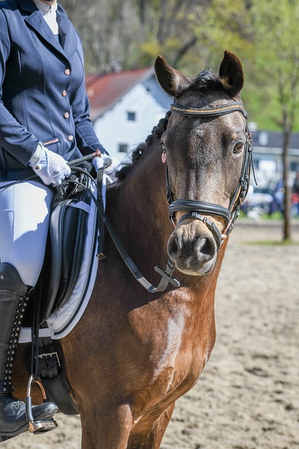 国在能源输 国在能源输