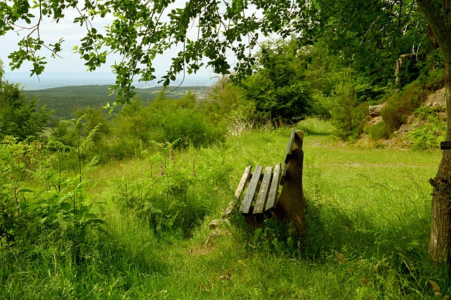 书写了浓墨 书写了浓墨